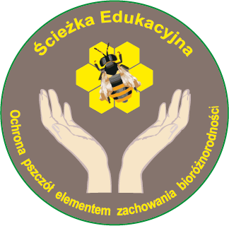 logo sciezka